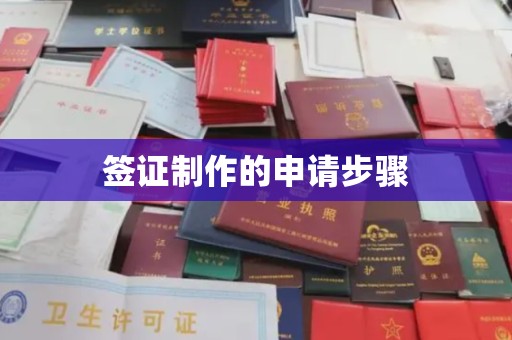 镇平签证制作的申请步骤